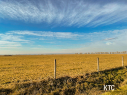 2025-01-24 Burgendland Extrem Tour BEXT - IMG_5028